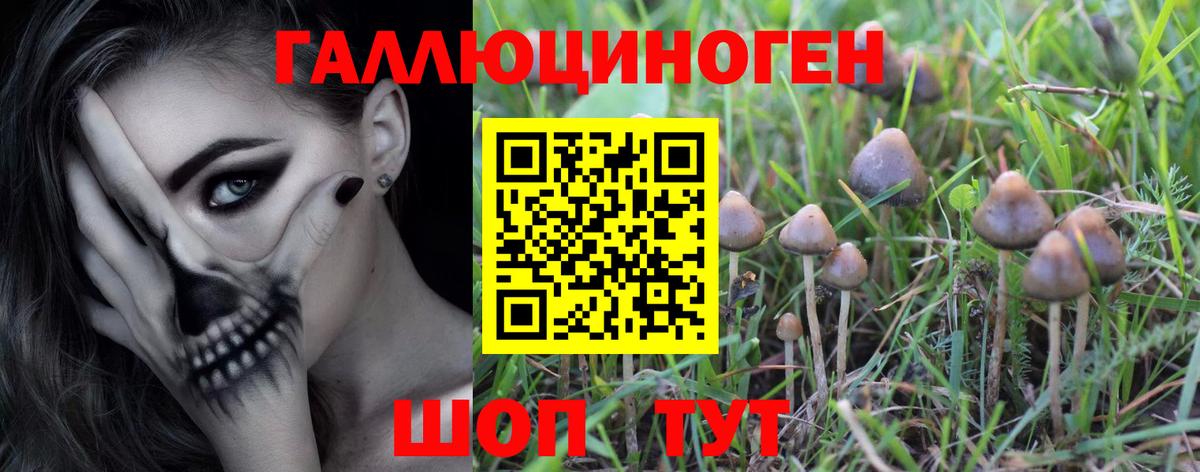 Дюртюли  Псилоцибиновые грибы Psilocybe  наркошоп  Вход с VPN 